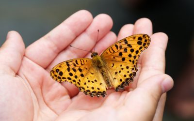 Tre spunti di riflessione sul cambiamento